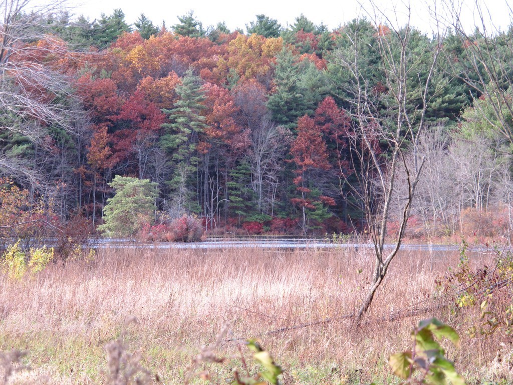 67 Outlook Road Billerica, MA 01862 - Photo 26 of 27 Gallery Image 26
