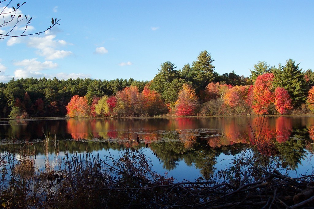 67 Outlook Road Billerica, MA 01862 - Photo 27 of 27 Gallery Image 27