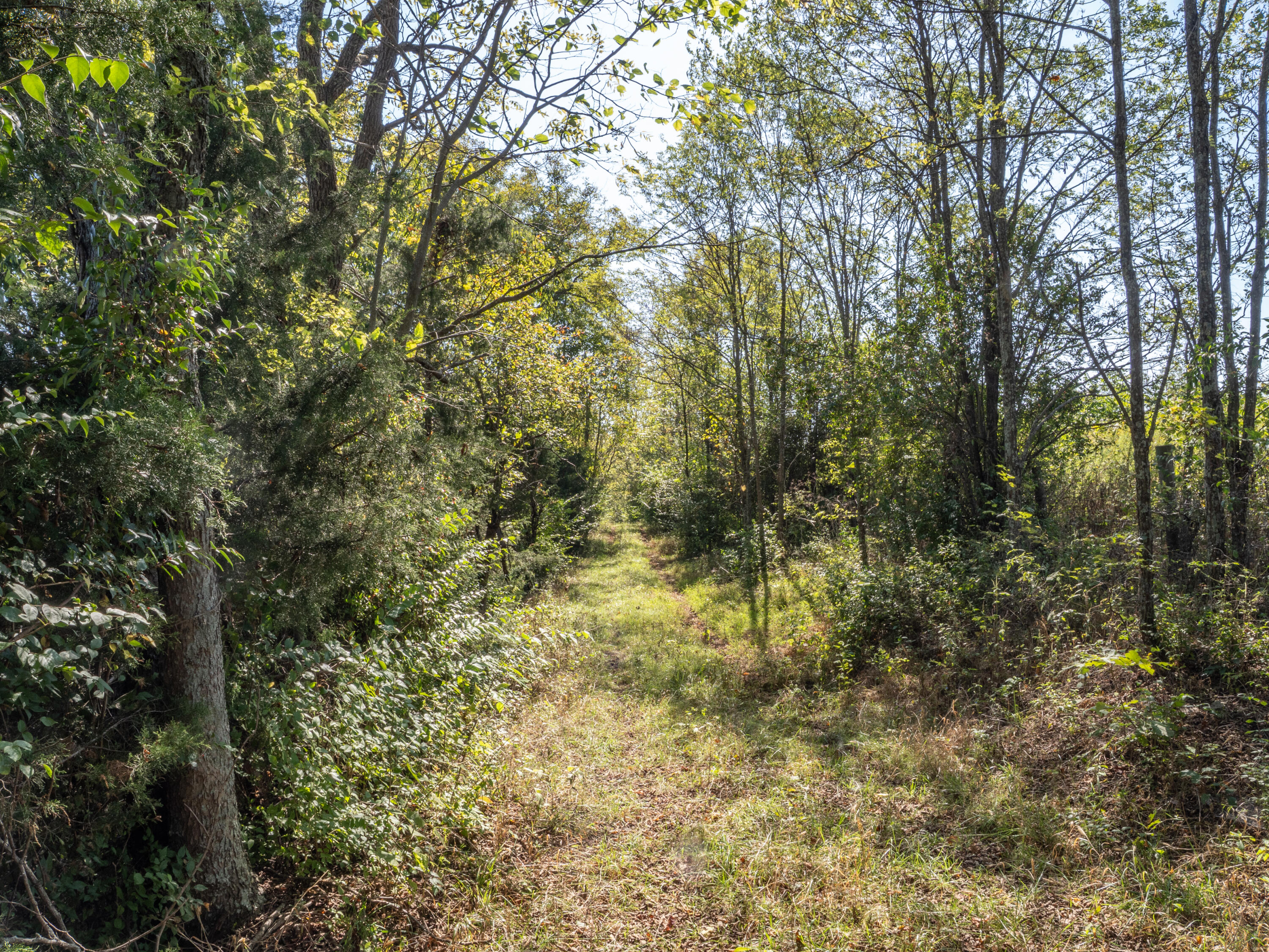 0 Magnolia Road Owingsville, KY 40360 - Photo 16 of 25 PTH10007