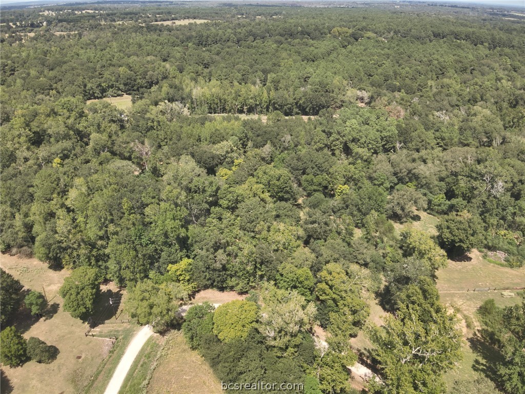134 Bocaregra Road Leona, TX 75850 - Photo 4 of 13 Gallery Image 4