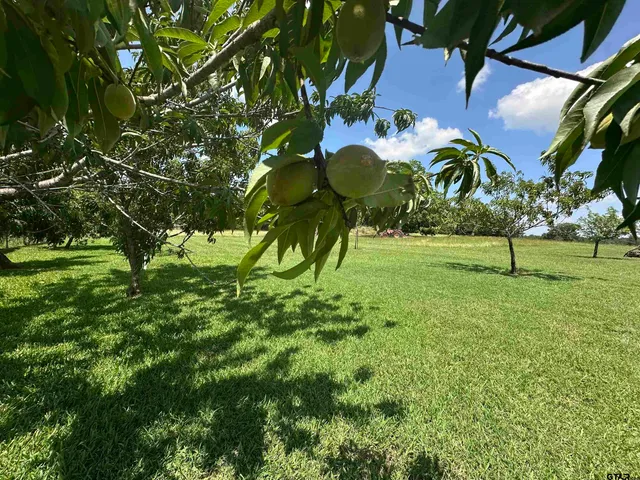 $1,900,000 | 12090 W Farm, Bullard, TX 75757