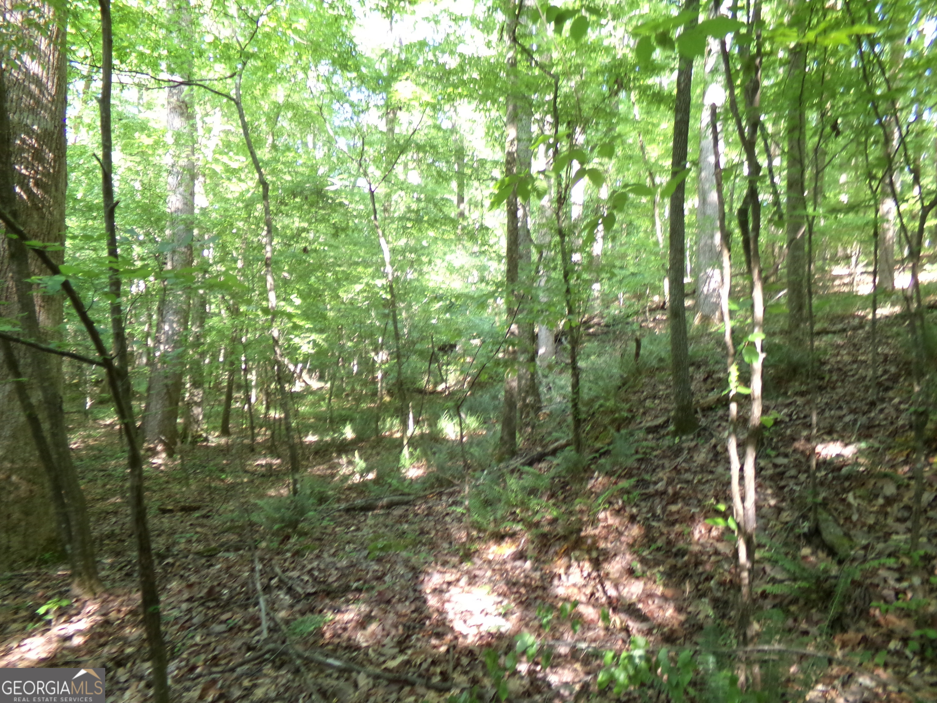 3905 Highway 138 Covington, GA 30014 - Photo 15 of 40