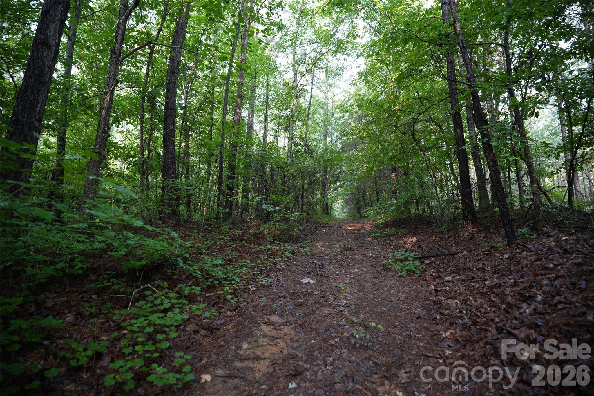 0 Bobby Faucette Road, Unit 7 Jonesville, SC 29353 - Photo 7 of 11 Gallery Image 7