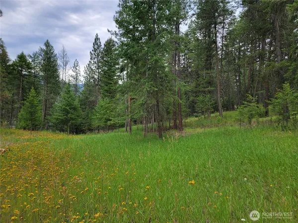 $54,900 | 40 Evergreen Drive, Curlew, WA 99118