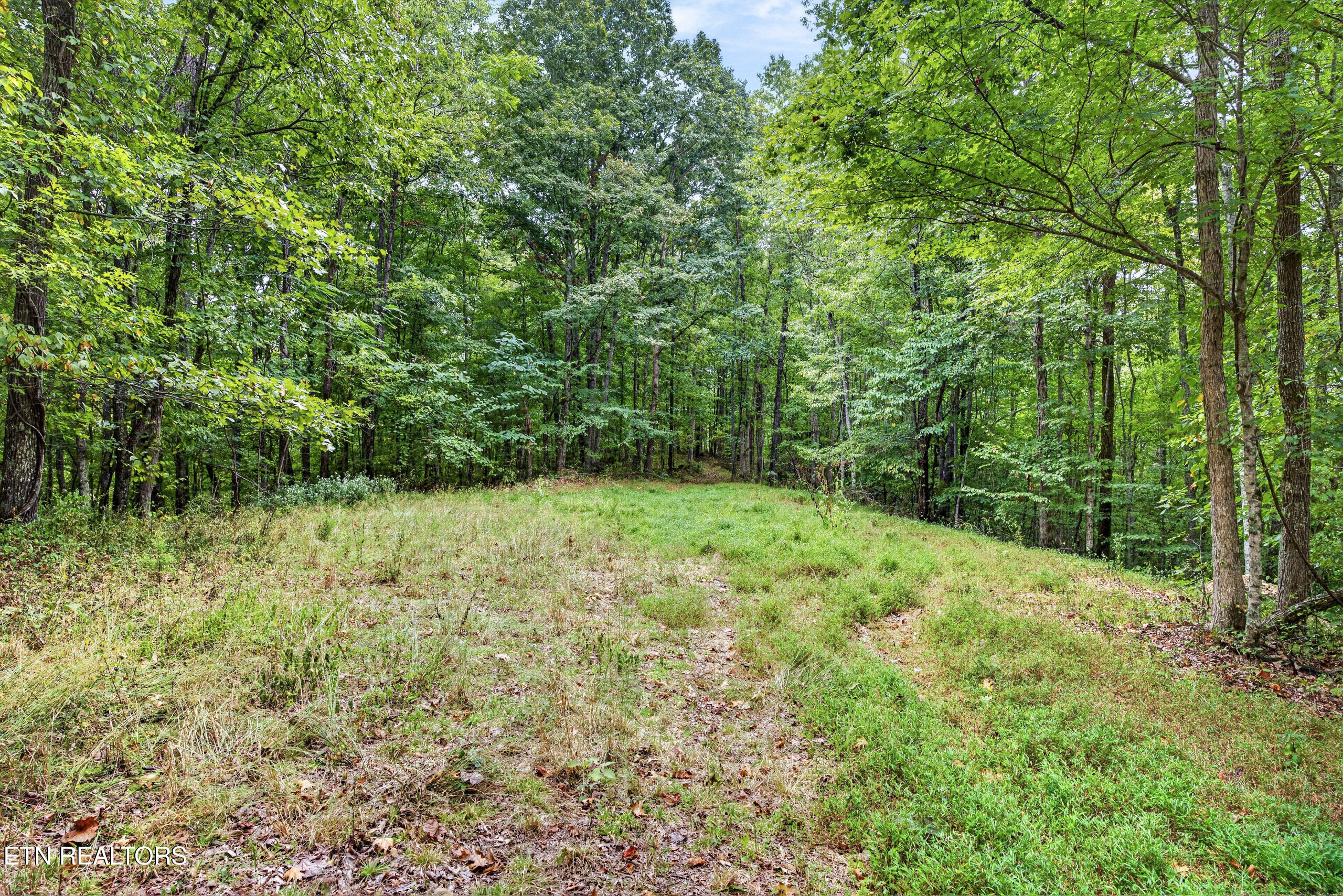 Lot 27 Timber Ridge Lane Celina, TN 38551 - Photo 19 of 21 18-8N5A6819
