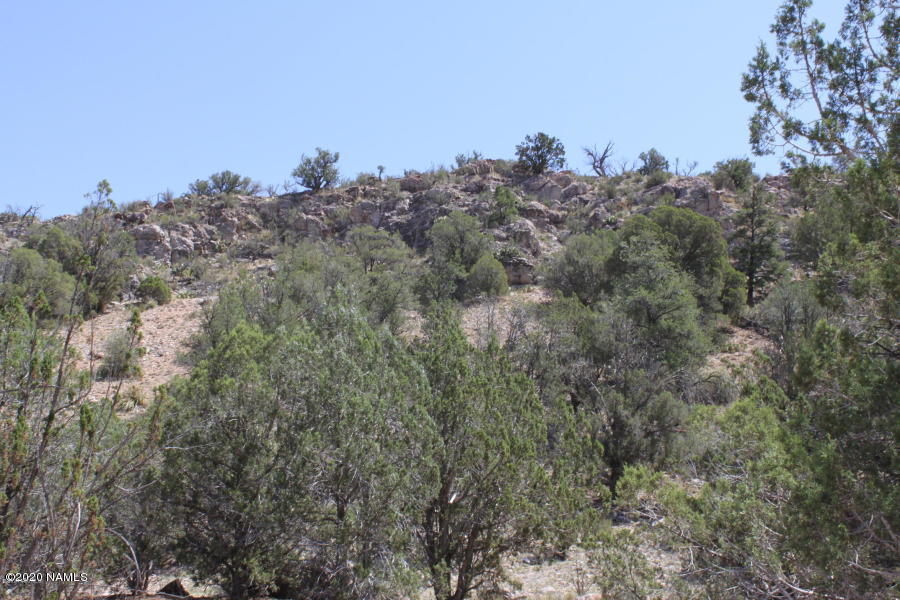 0 Arizona Road Ash Fork, AZ 86320 - Photo 1 of 1 000