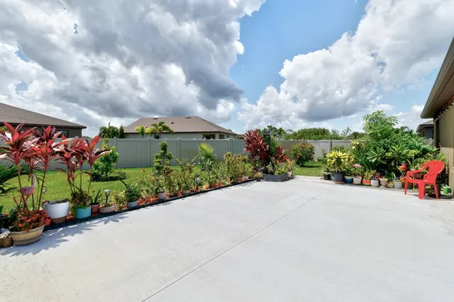 a view of a street with flower plants in front of it