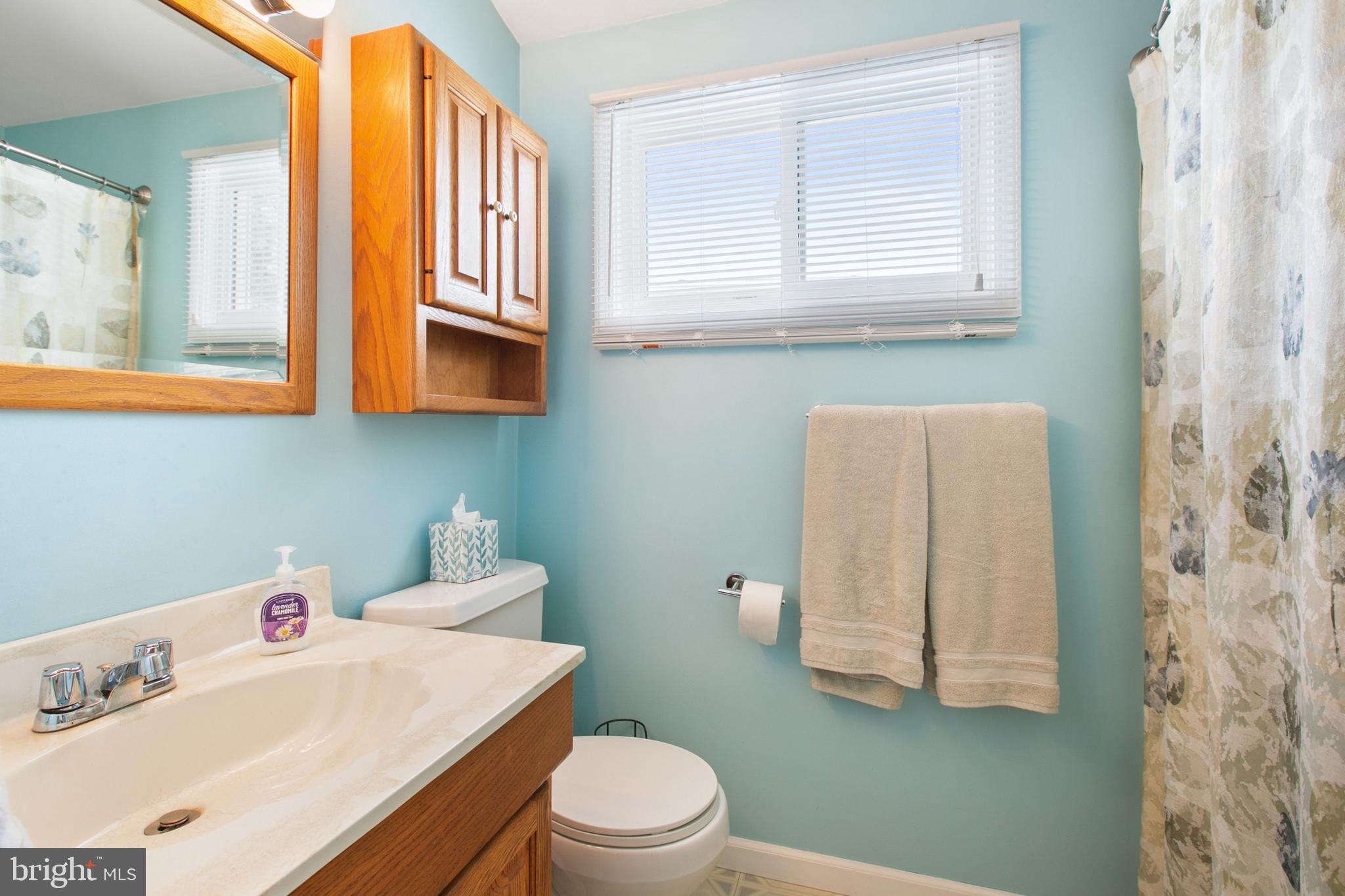 7615 Merritt Point Road Baltimore, MD 21222 - Photo 32 of 42 Halll bath