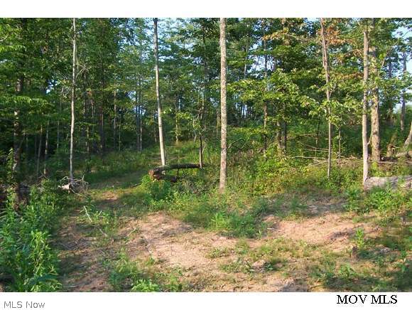 0 Tunnel Ridge Road Ellenboro, WV 26346 - Photo 1 of 1 Gallery Image 1