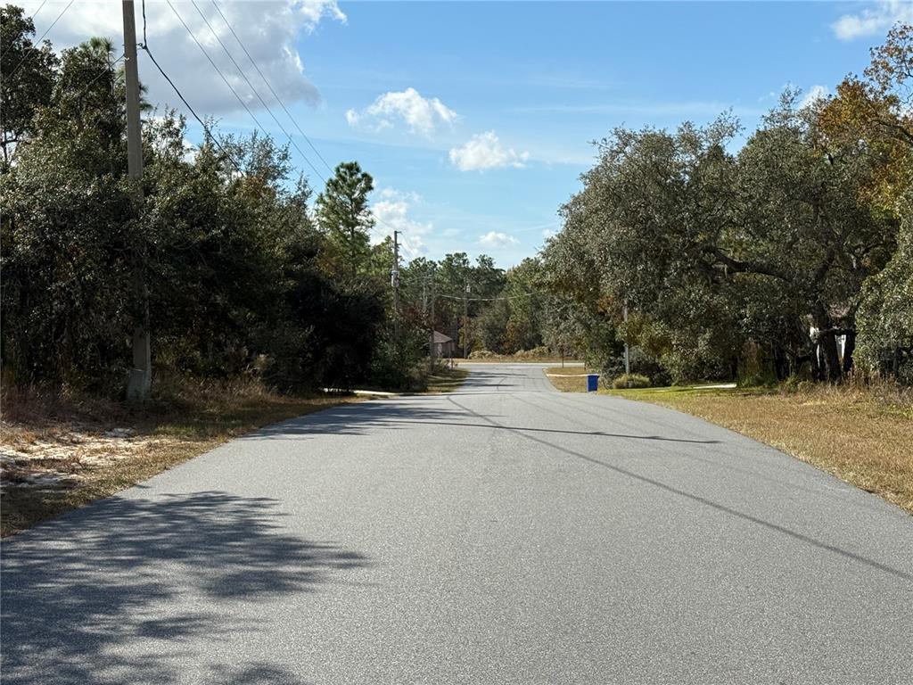 220 Linder Drive Homosassa, FL 34446 - Photo 4 of 5 a view of road with trees