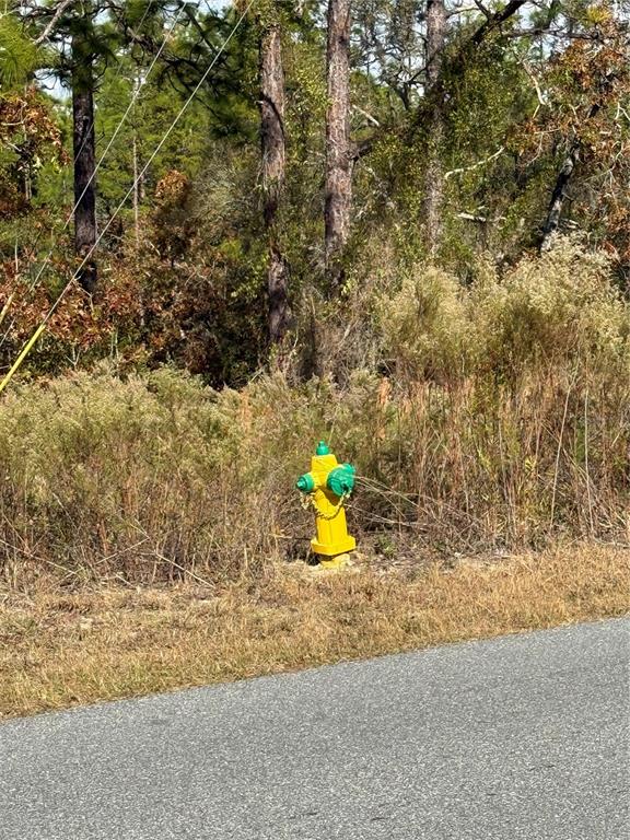 220 Linder Drive Homosassa, FL 34446 - Photo 5 of 5 a view of a outdoor space