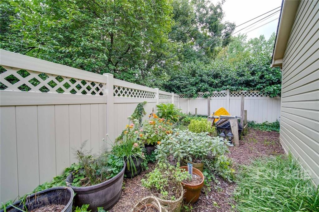 811 Queens Road, Unit 2 Charlotte, NC 28207 - Photo 27 of 31 a view of a garden filled with potted plants