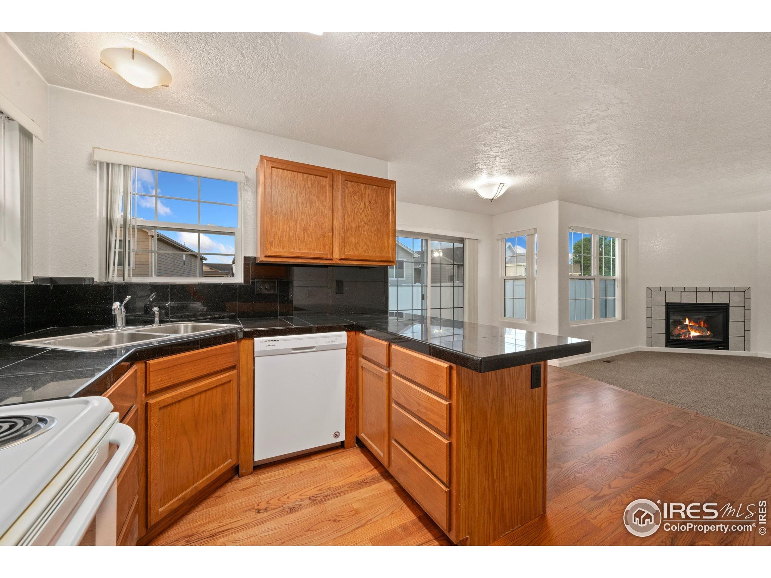 3316 Barbera Street Evans, CO 80634 - Photo 9 of 24