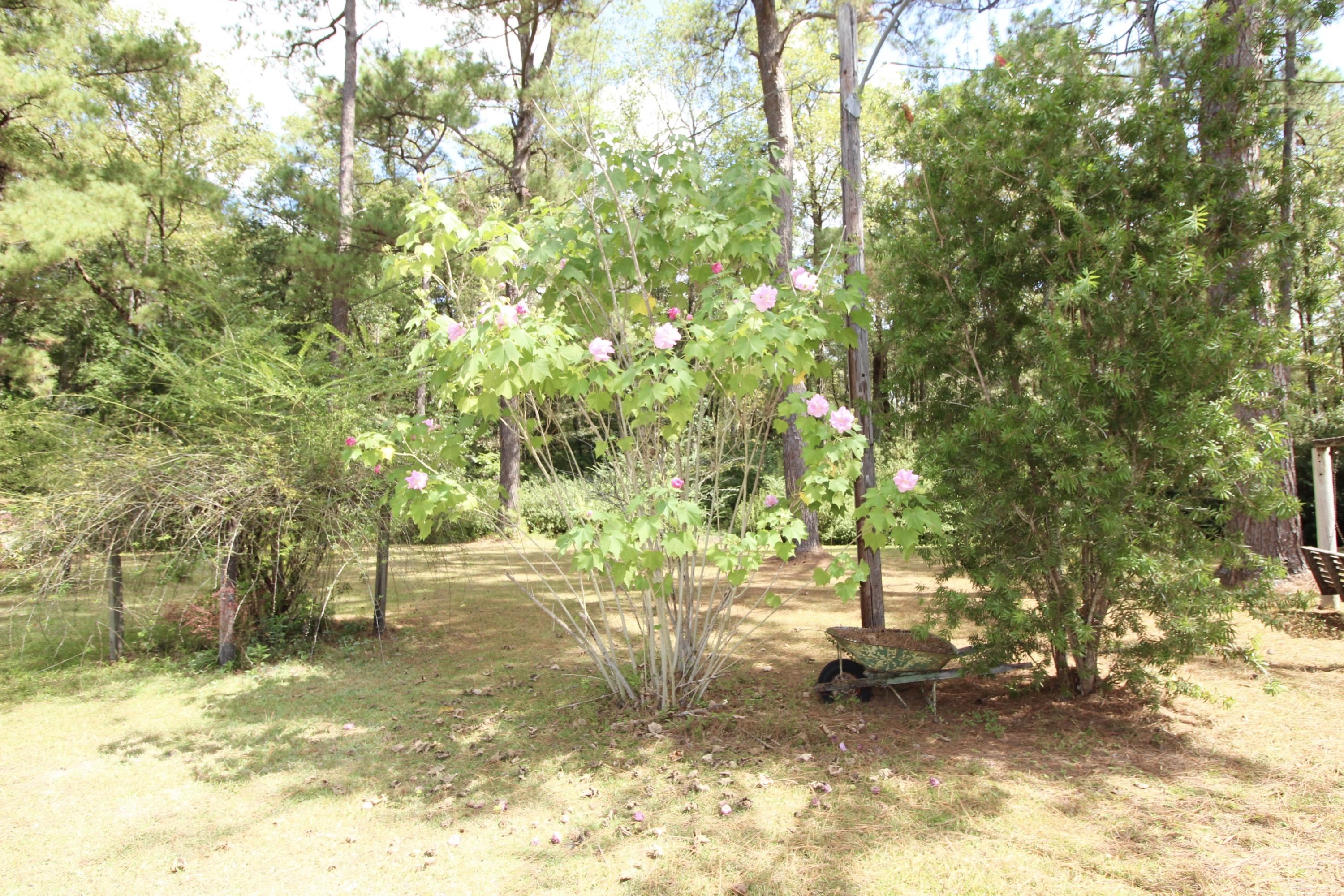 504 Bob Sikes Road DeFuniak Springs, FL 32435 - Photo 9 of 39 fullsizeoutput_7fa