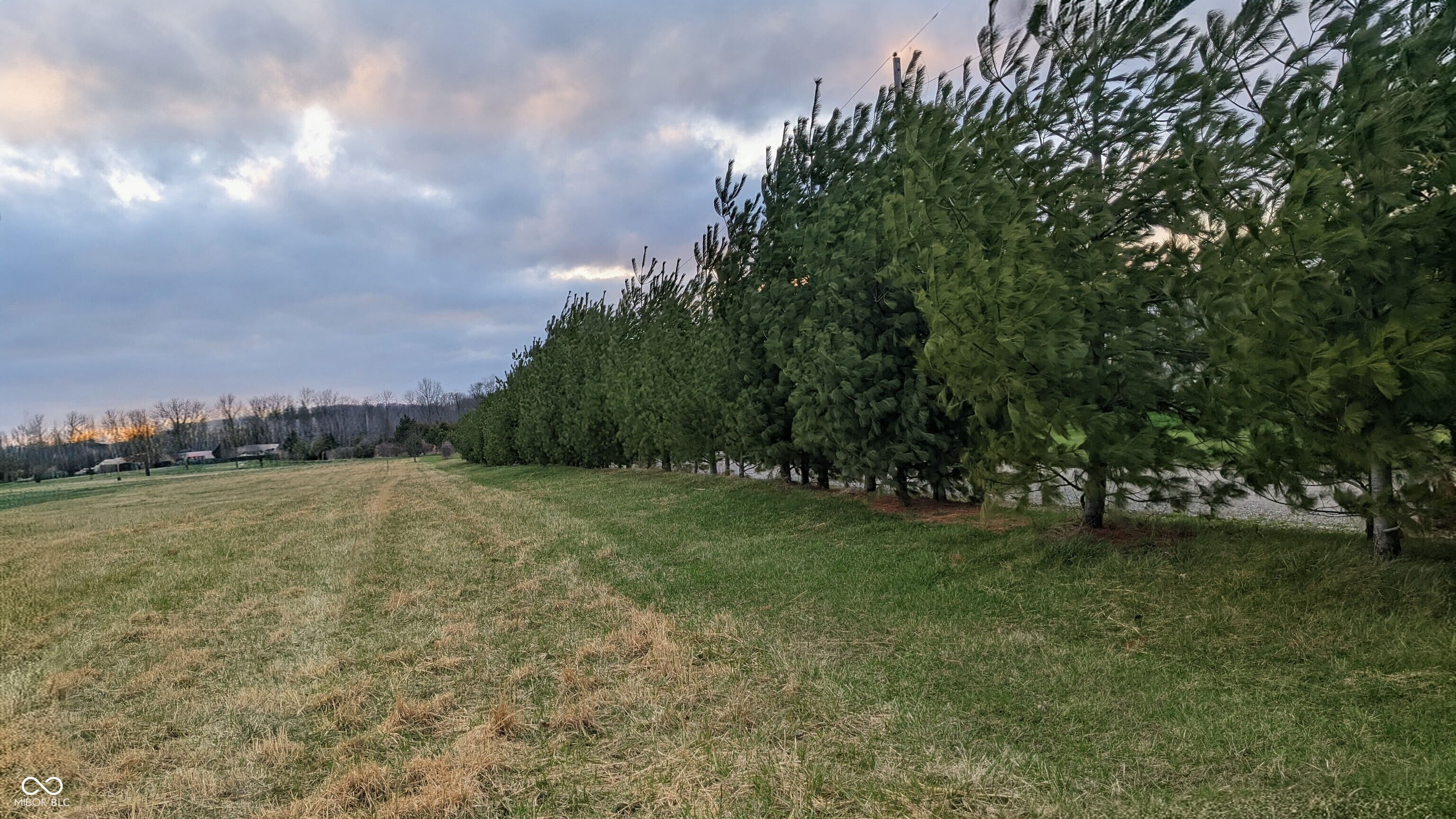 7944 South Pr 435 West Edinburgh, IN 46124 - Photo 14 of 23