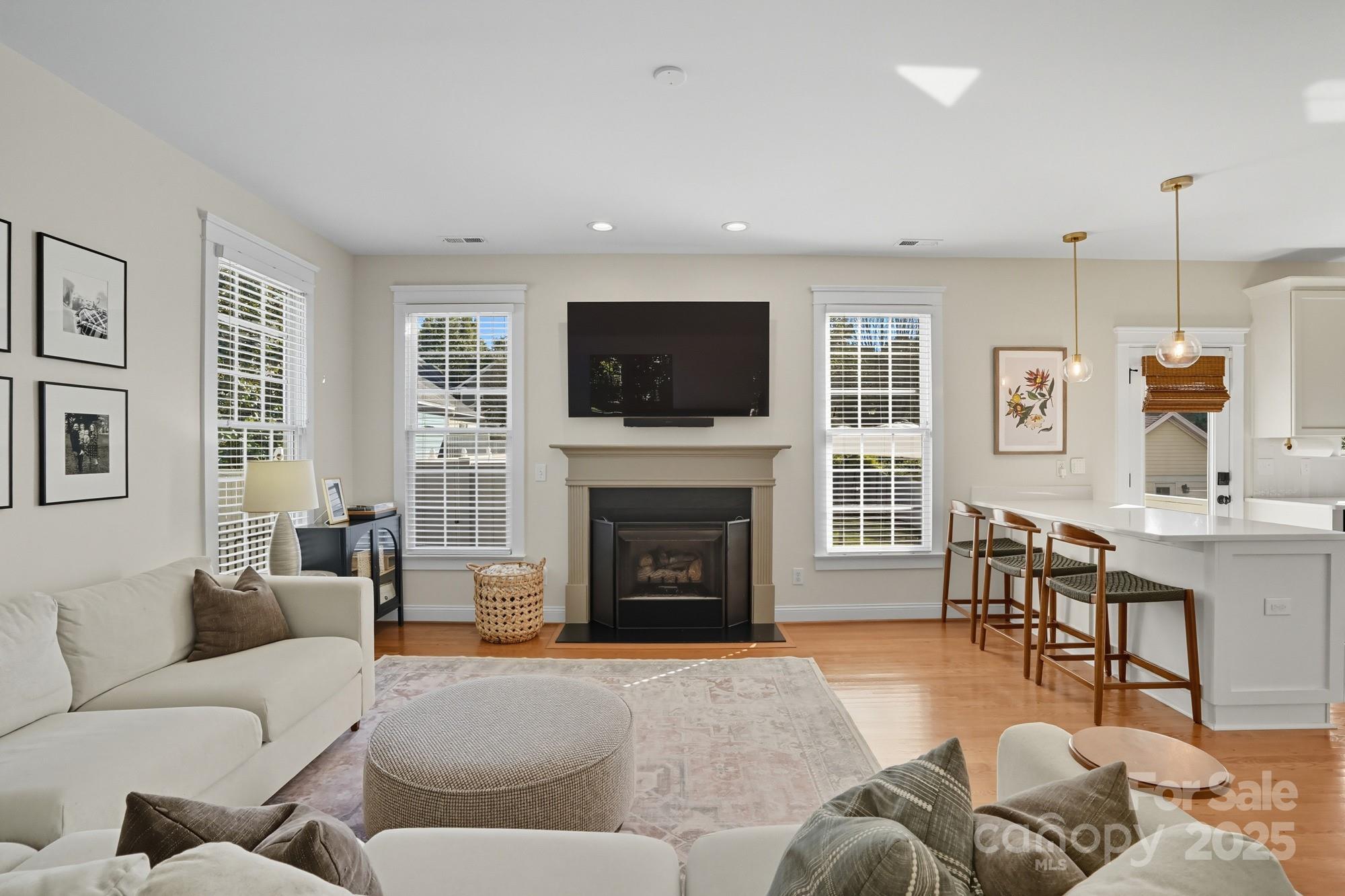 911 Cara Court Fort Mill, SC 29708 - Photo 12 of 48 a living room with furniture a fireplace and a flat screen tv