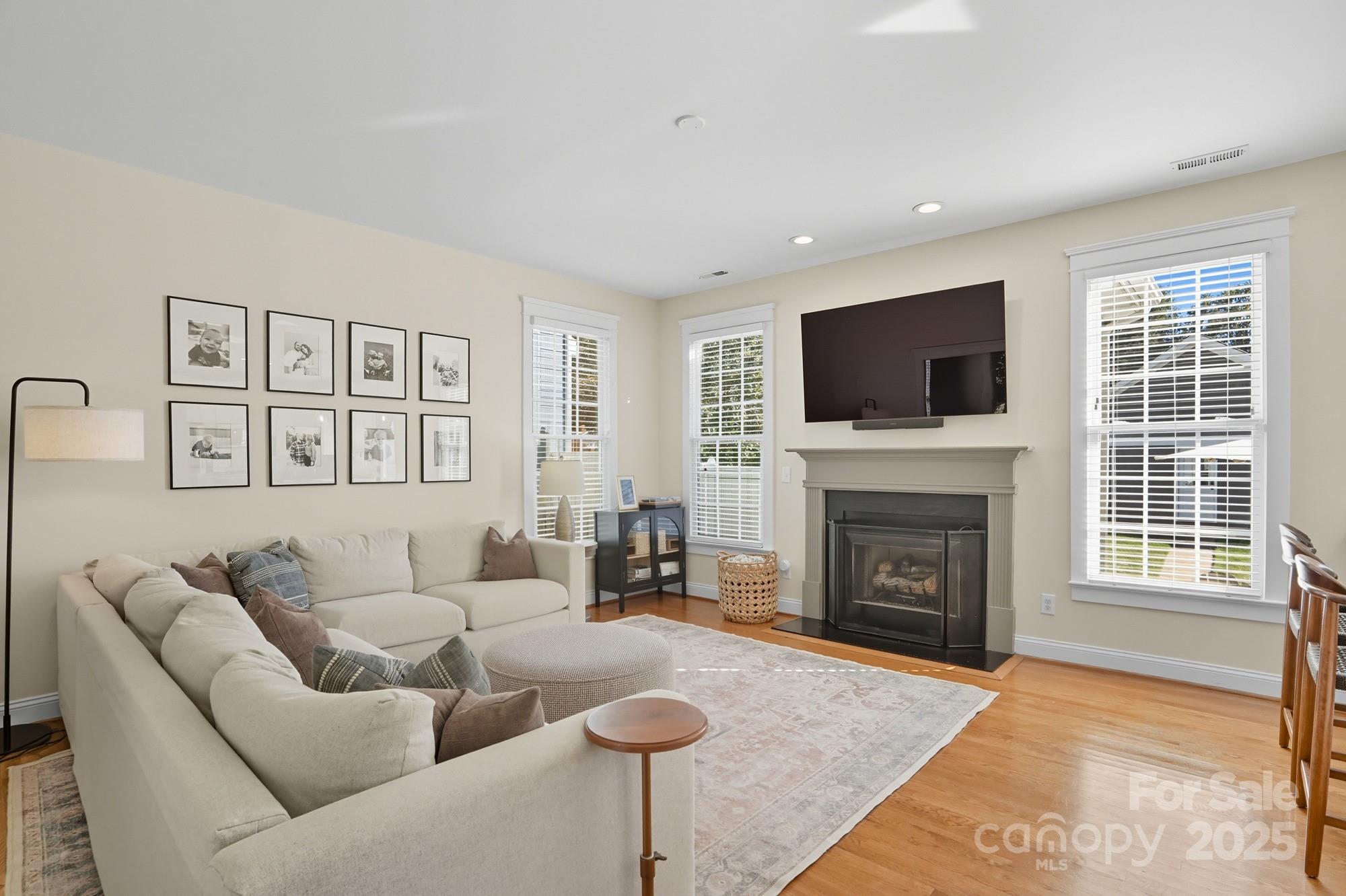 911 Cara Court Fort Mill, SC 29708 - Photo 13 of 48 a living room with furniture a fireplace and a flat screen tv