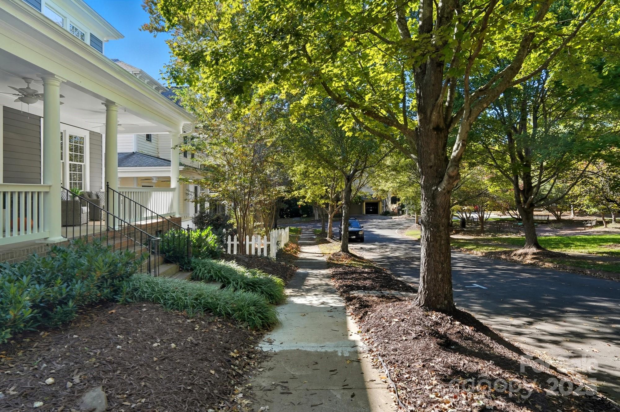911 Cara Court Fort Mill, SC 29708 - Photo 3 of 48 a view of a yard with plants and trees