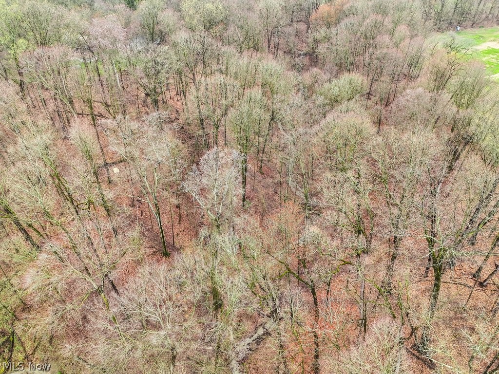 Rohrer Road Wadsworth, OH 44281 - Photo 11 of 12