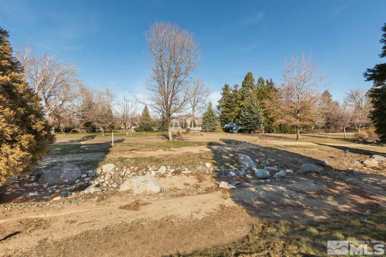 6144 Falabella Way Reno, NV 89511 - Photo 13 of 20 a view of dirt yard with a large tree