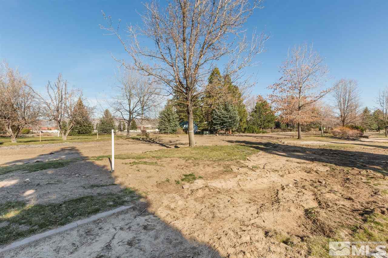 6144 Falabella Way Reno, NV 89511 - Photo 15 of 20 a view of road yard with trees