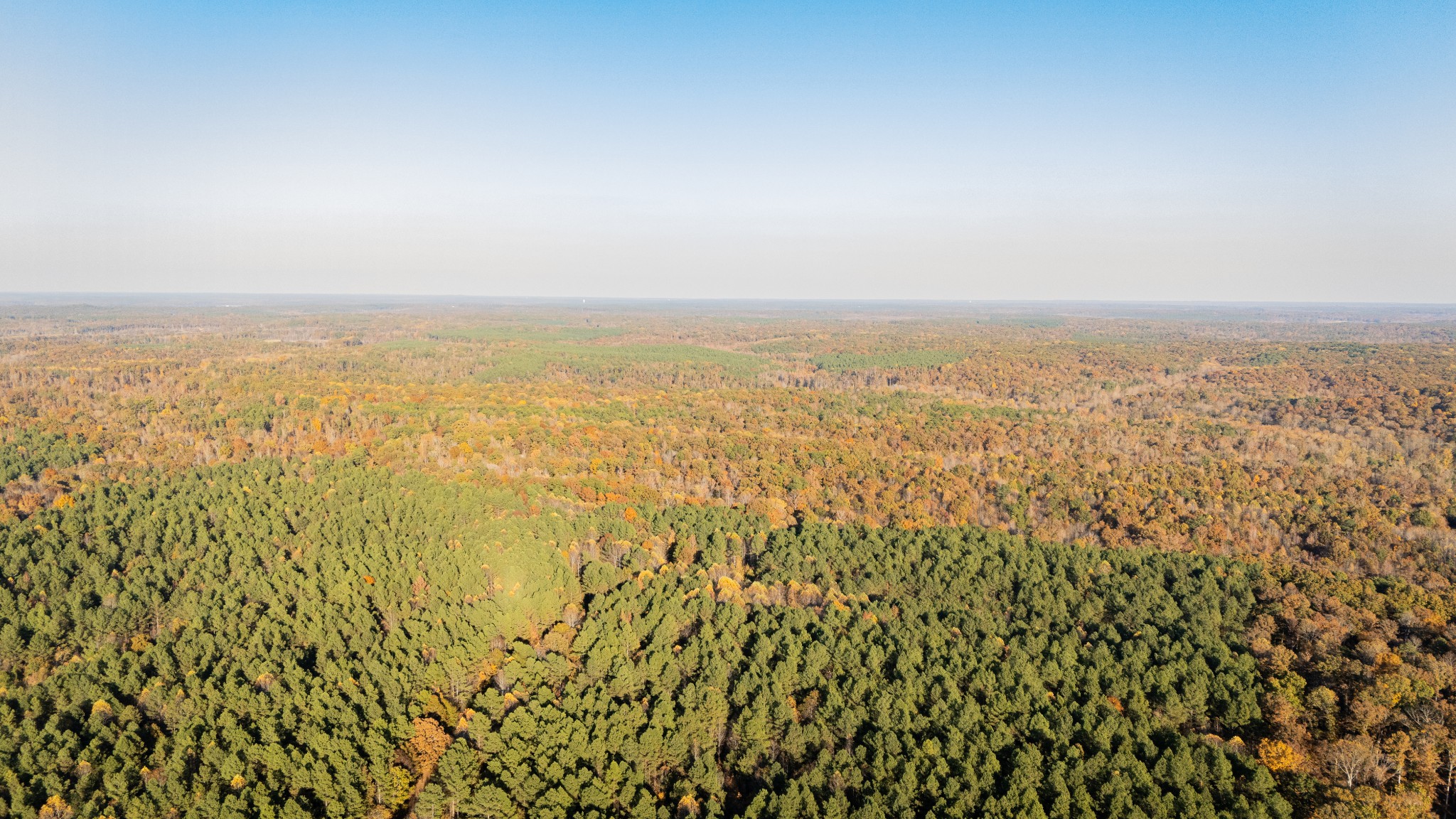 1 Gooch Store Road Hornsby, TN 38044 - Photo 11 of 11