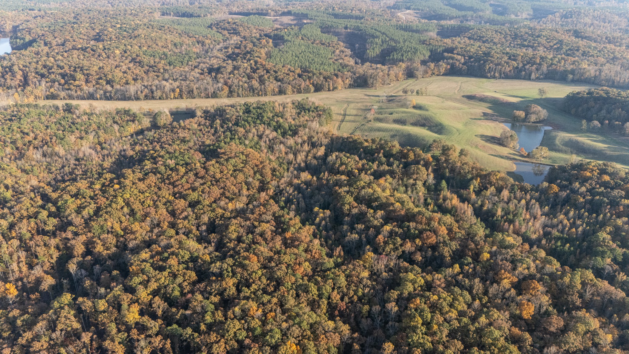 1 Gooch Store Road Hornsby, TN 38044 - Photo 4 of 11