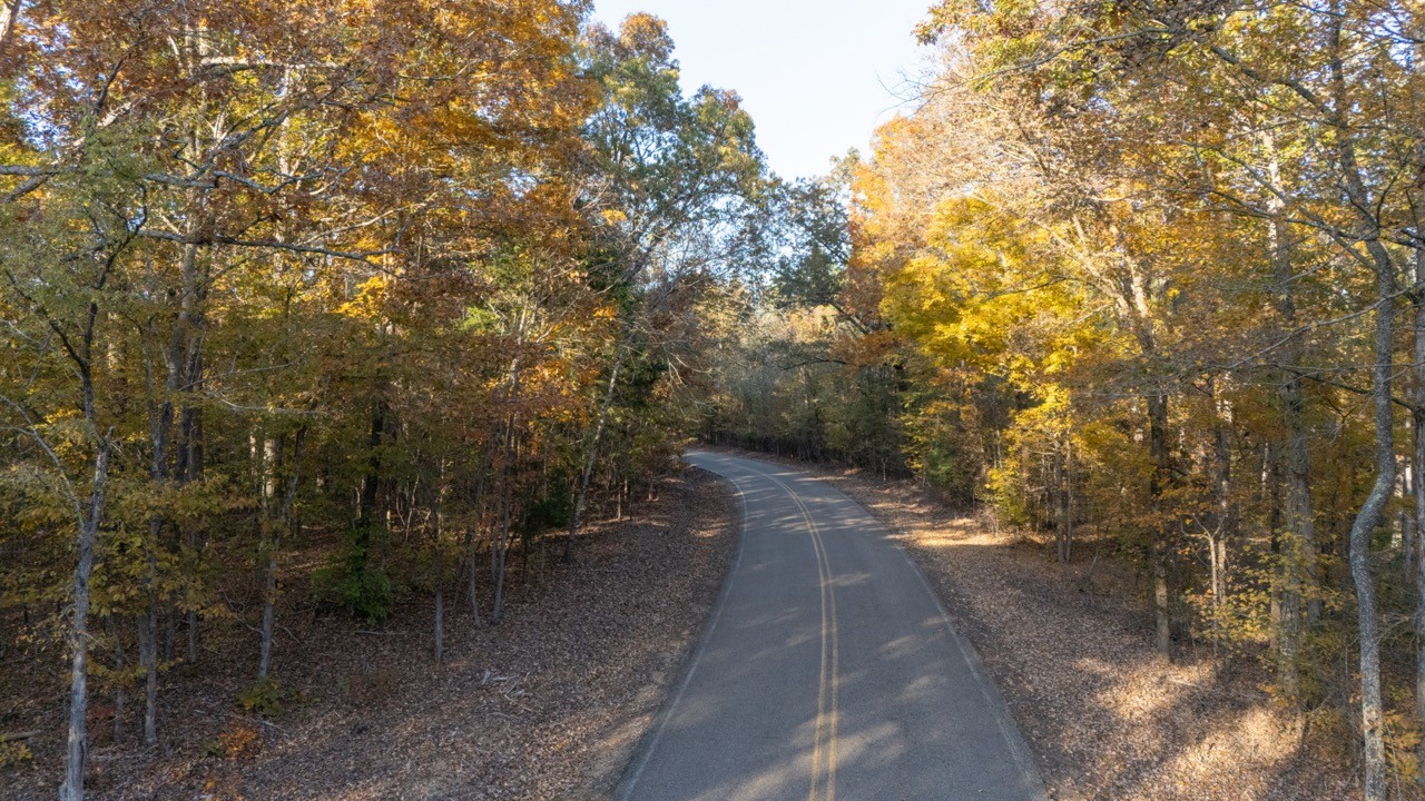 1 Gooch Store Road Hornsby, TN 38044 - Photo 6 of 11