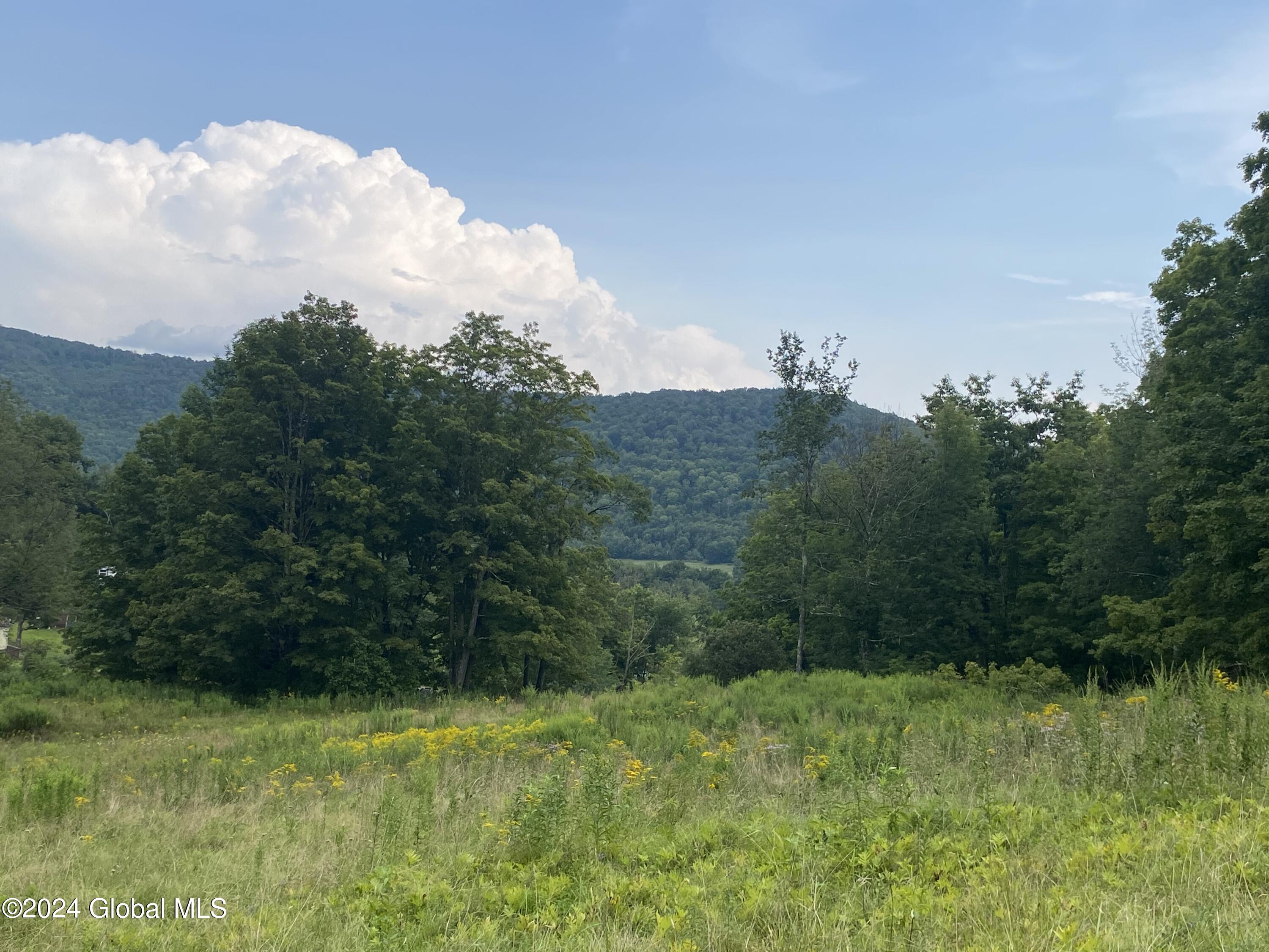 111 Cold Spring Road Petersburgh, NY 12138 - Photo 16 of 26 IMG_5394
