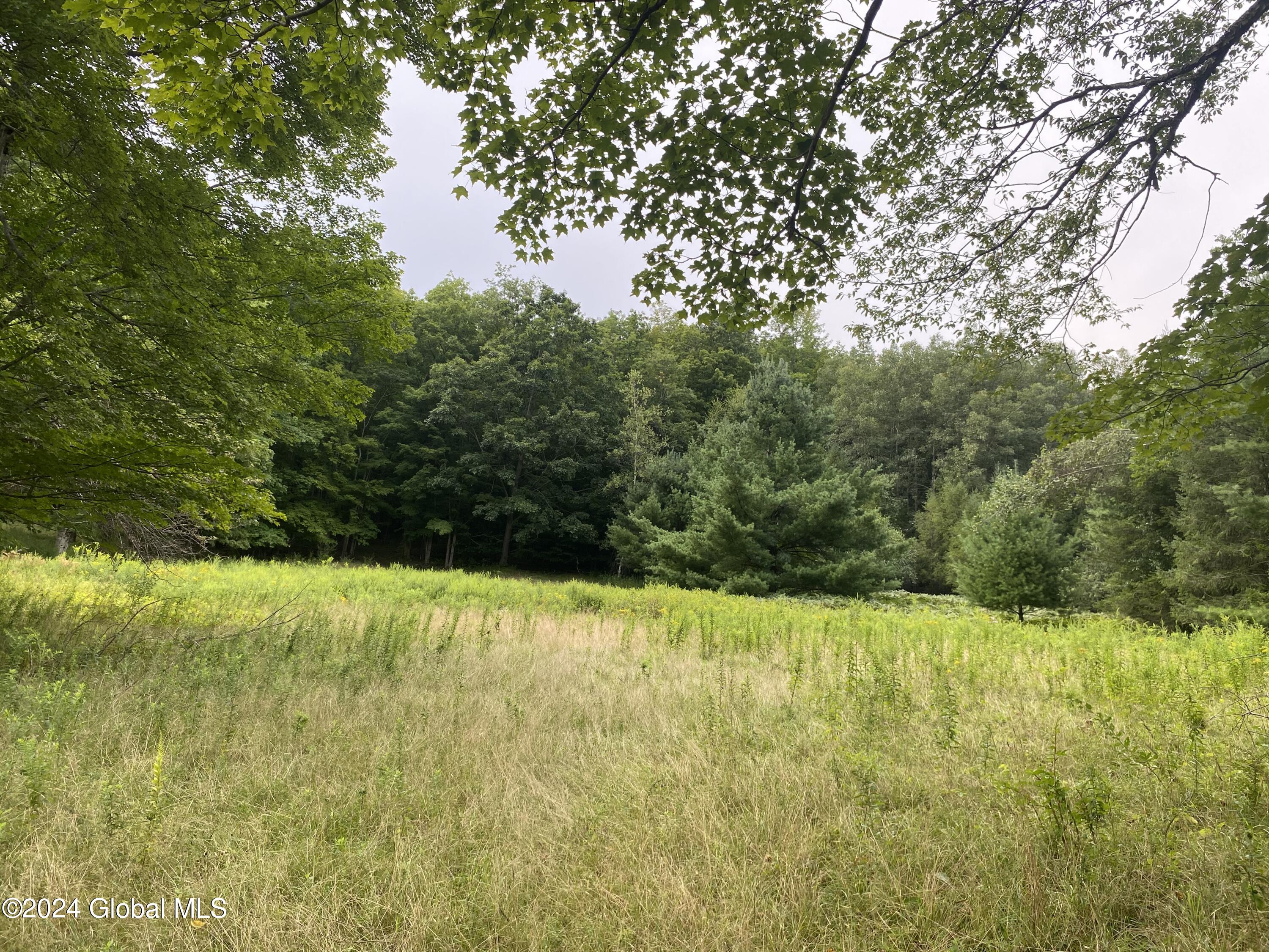 111 Cold Spring Road Petersburgh, NY 12138 - Photo 20 of 26 IMG_5386