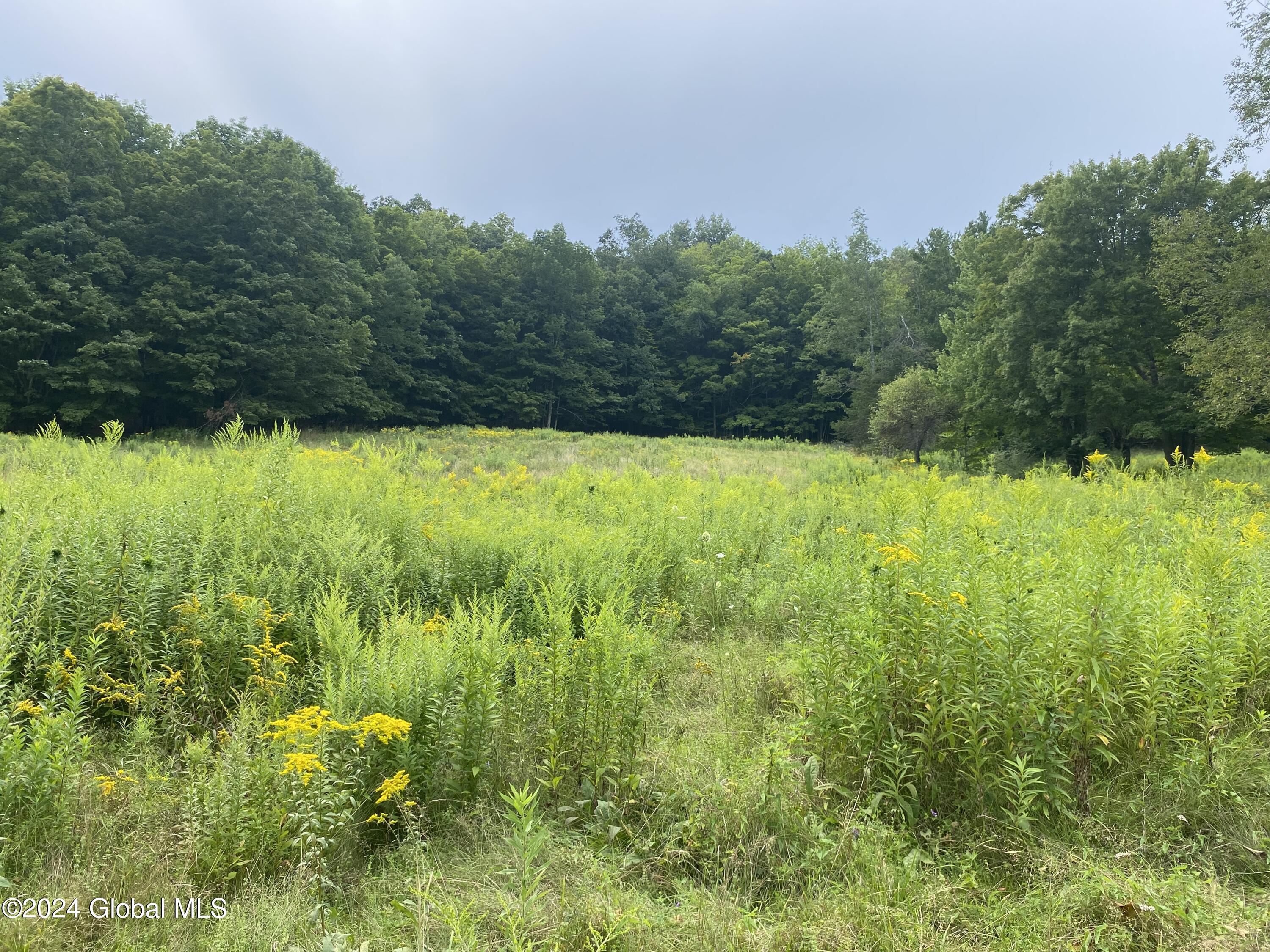 111 Cold Spring Road Petersburgh, NY 12138 - Photo 21 of 26 IMG_5384