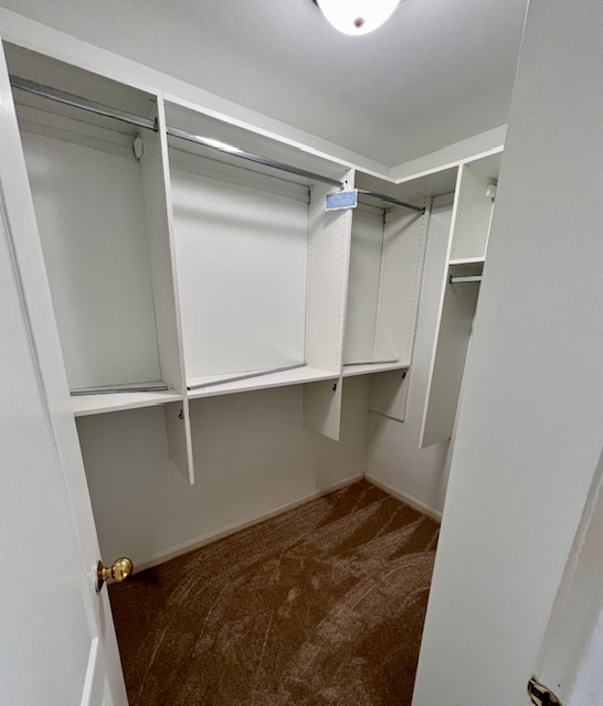 4716 Amber Circle Hoffman Estates, IL 60192 - Photo 11 of 14 a view of closet