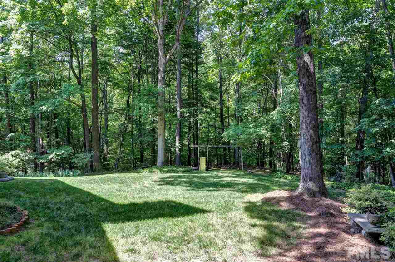 205 Trotters Ridge Drive Raleigh, NC 27614 - Photo 23 of 25 a view of a park with a tree in the background