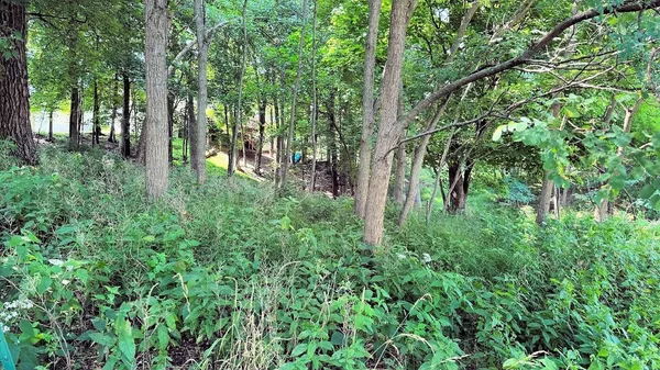 $34,000 | 77 Morningside, Baraboo, WI 53913