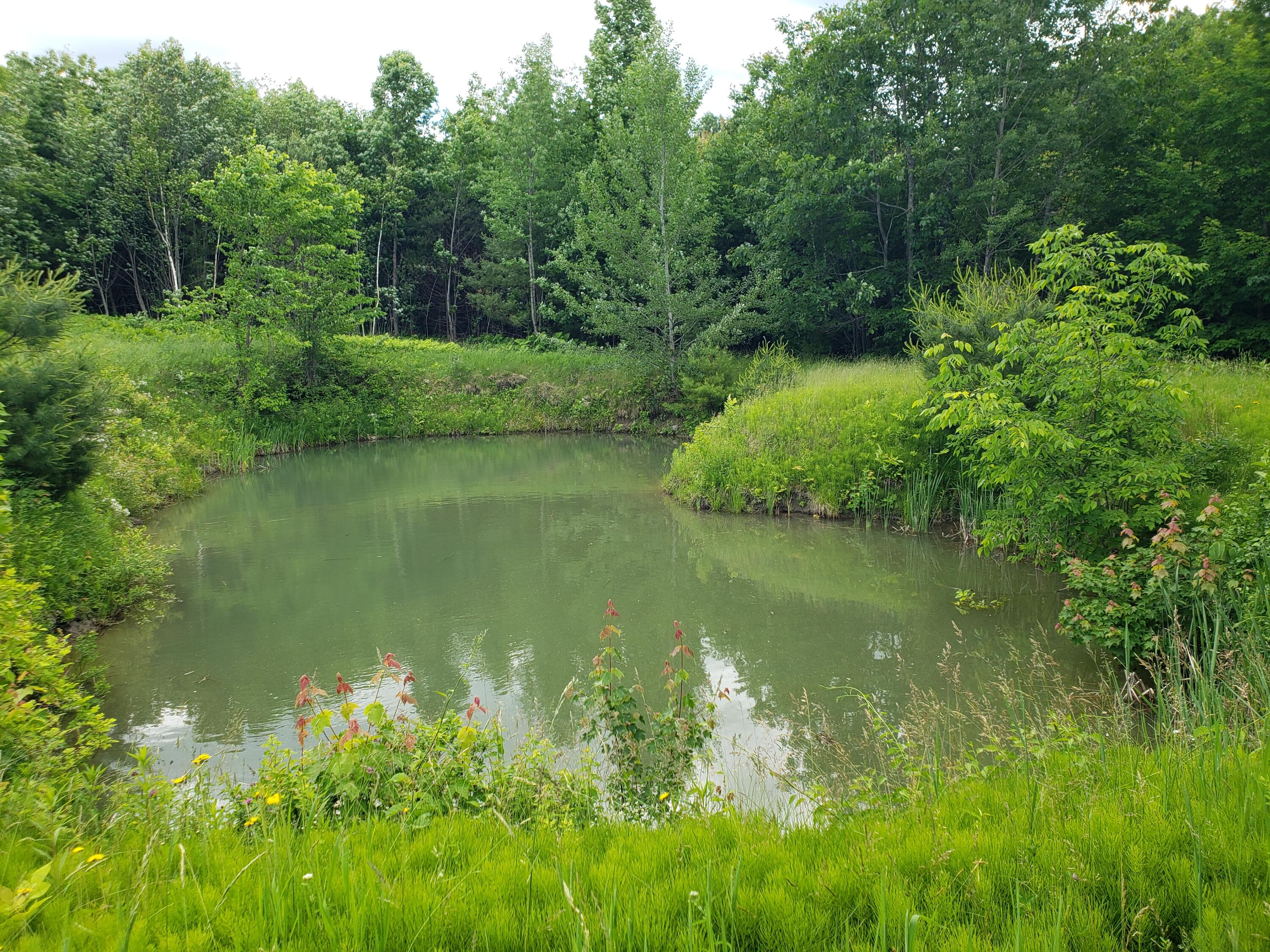 306 Gibbs Mill Road Livermore, ME 04253 - Photo 10 of 52 Pond!
