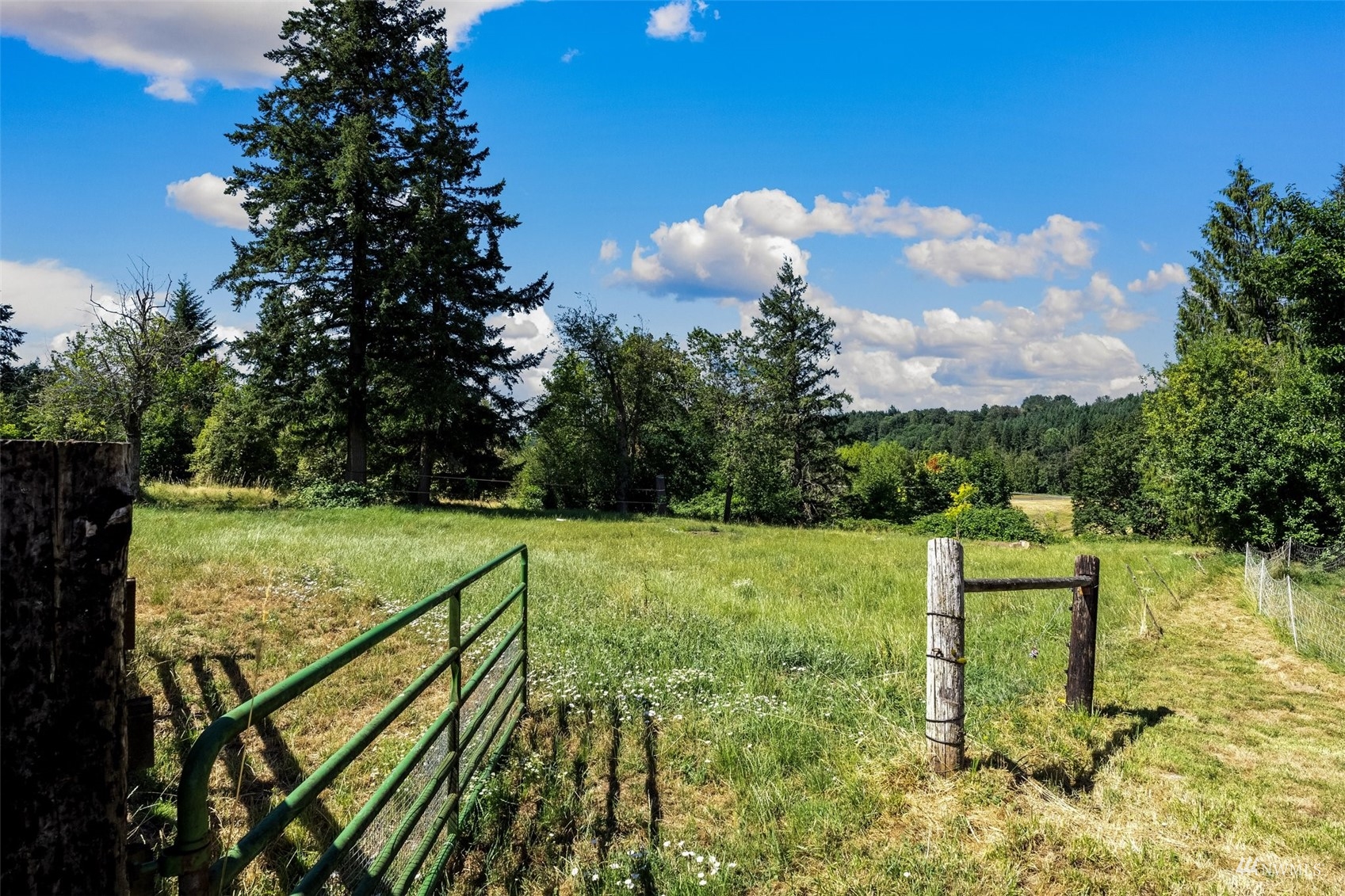 1295 Ferrier Road Winlock, WA 98596 - Photo 27 of 39 a view of a yard with iron fence