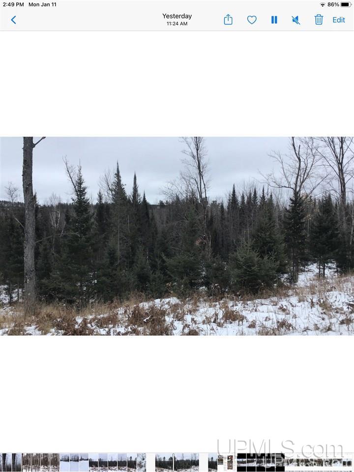 Tbd Swamp Road Powers, MI 49874 - Photo 21 of 30