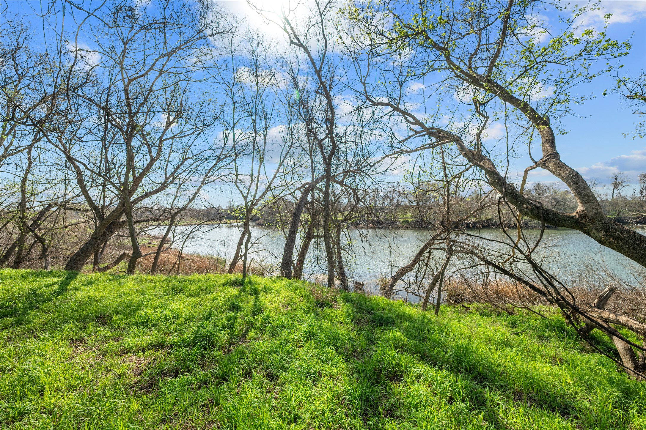 7705 Shelton Road Austin, TX 78725 - Photo 4 of 13
