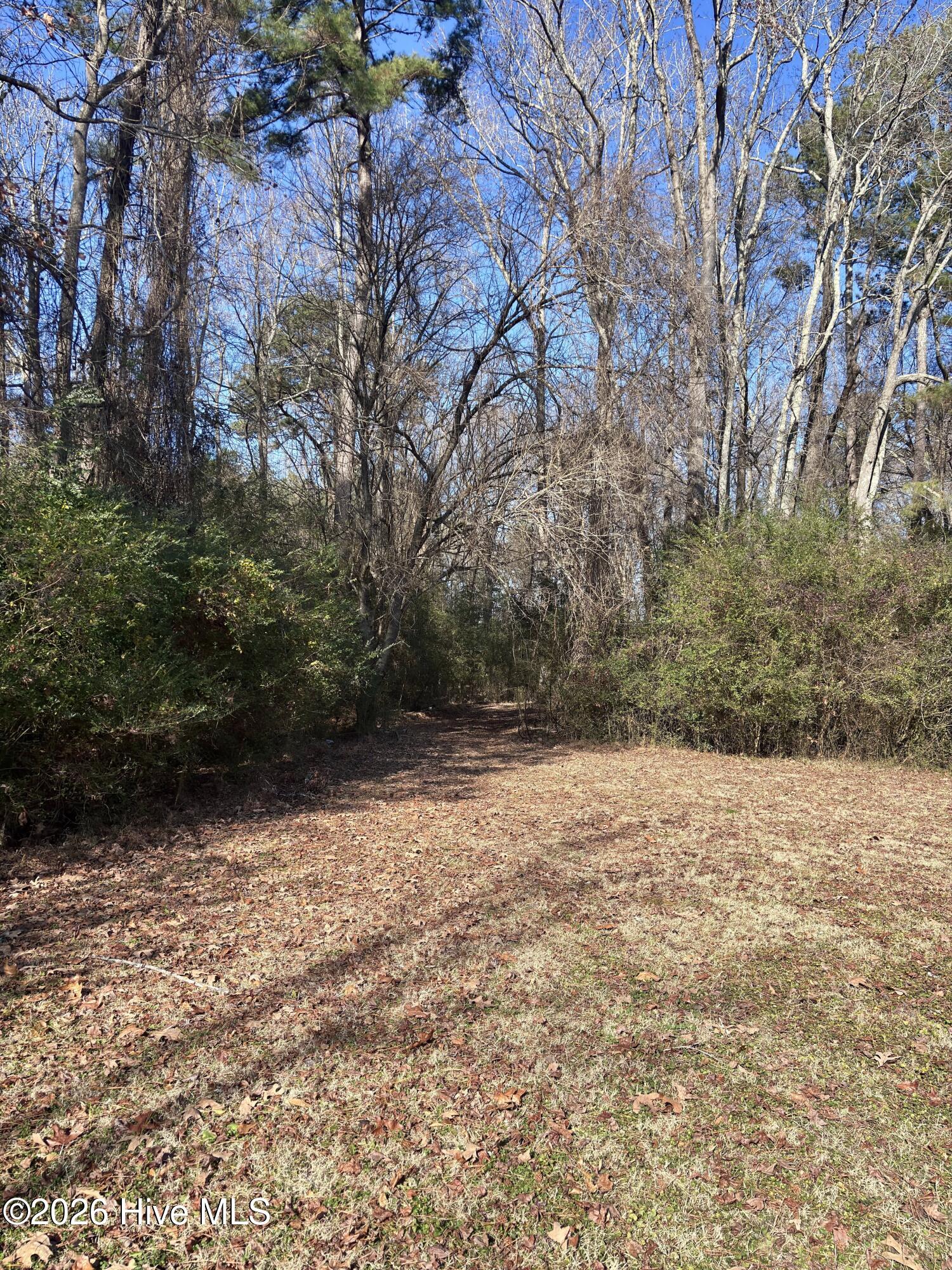 224 Millennium Road, Unit B Aulander, NC 27805 - Photo 30 of 30 IMG_6665