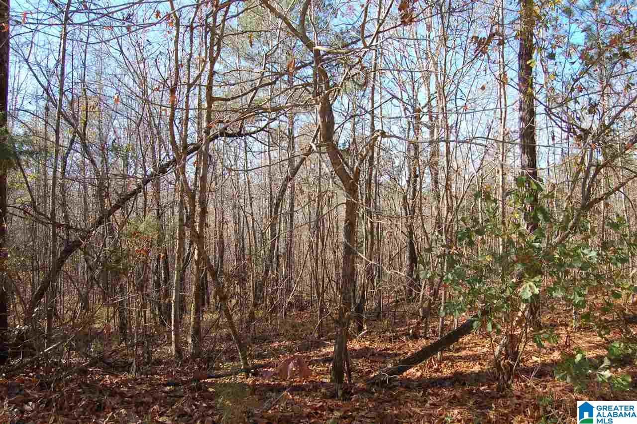 101 County Road, Unit 10 Equality, AL 36026 - Photo 3 of 8