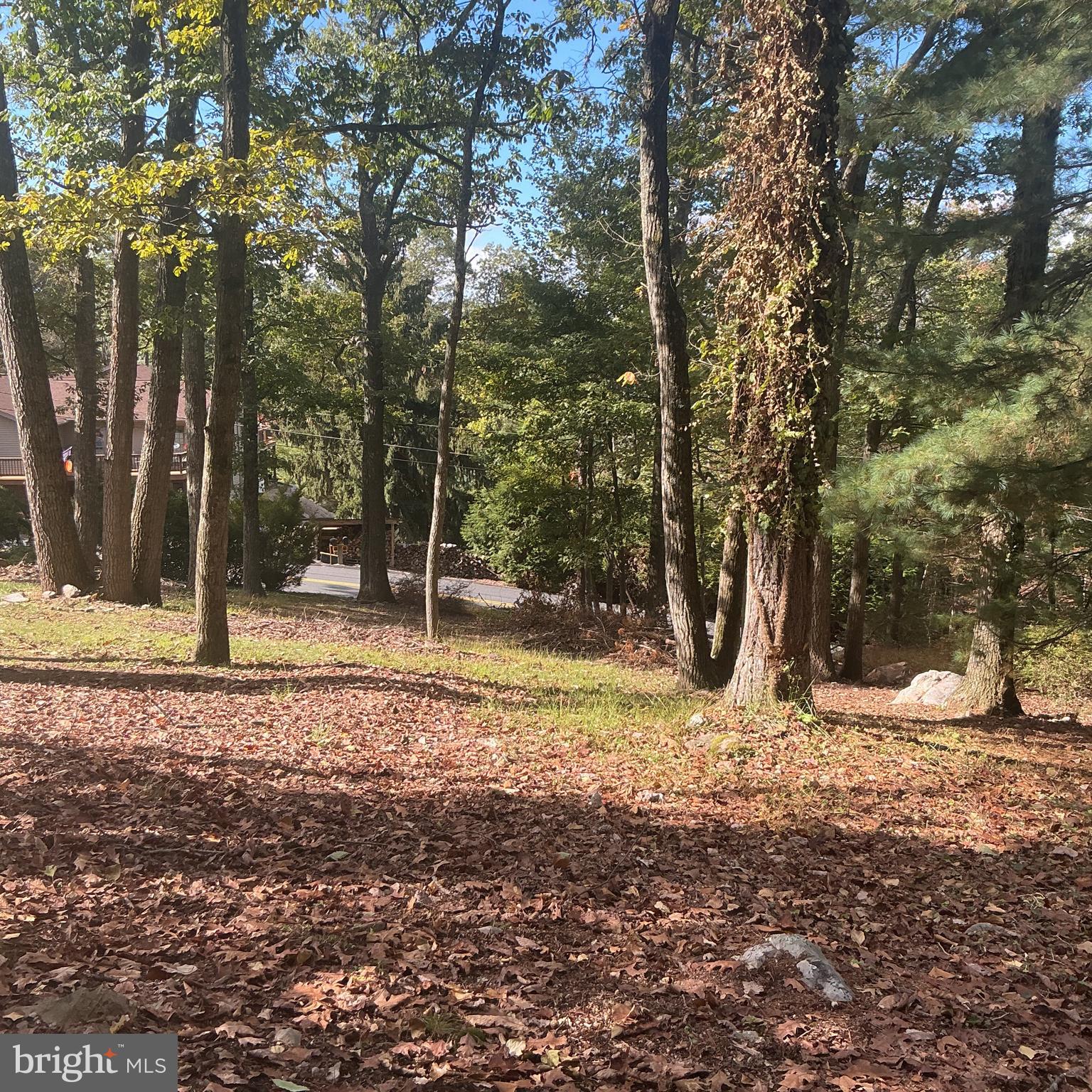 252 Mt Union Road Fayetteville, PA 17222 - Photo 46 of 49