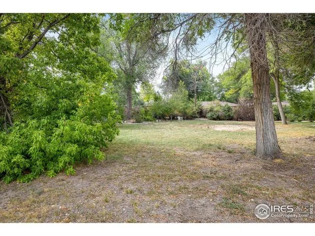 a view of a field with trees in the background