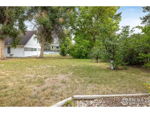 a view of a yard with a tree
