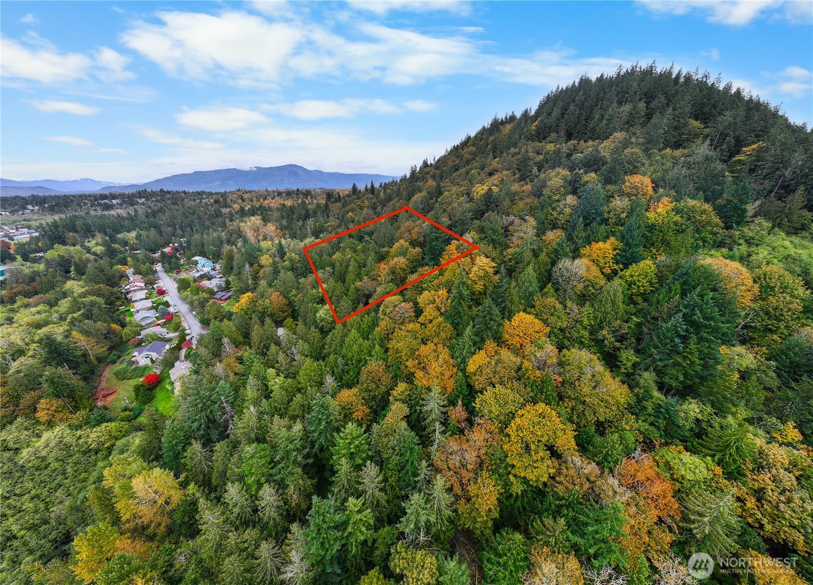 -xx Anderson Road Mount Vernon, WA 98274 - Photo 2 of 9 a view of a city with lush green forest