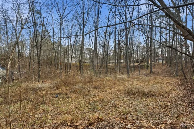 a view of yard with trees