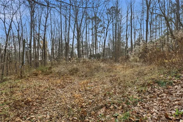 a view of a yard with a tree