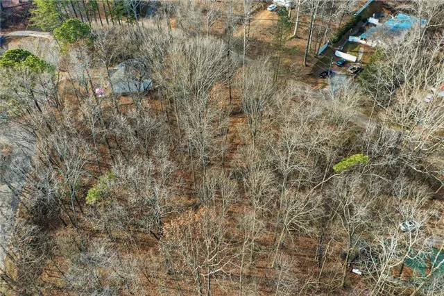 a view of a yard with plants and large trees