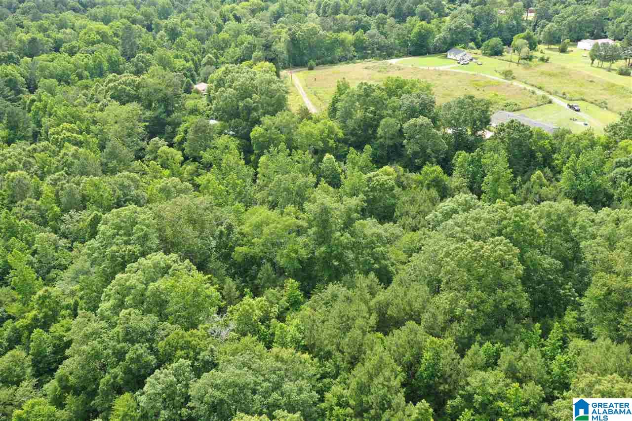 67 Pate Road Cordova, AL 35550 - Photo 19 of 24
