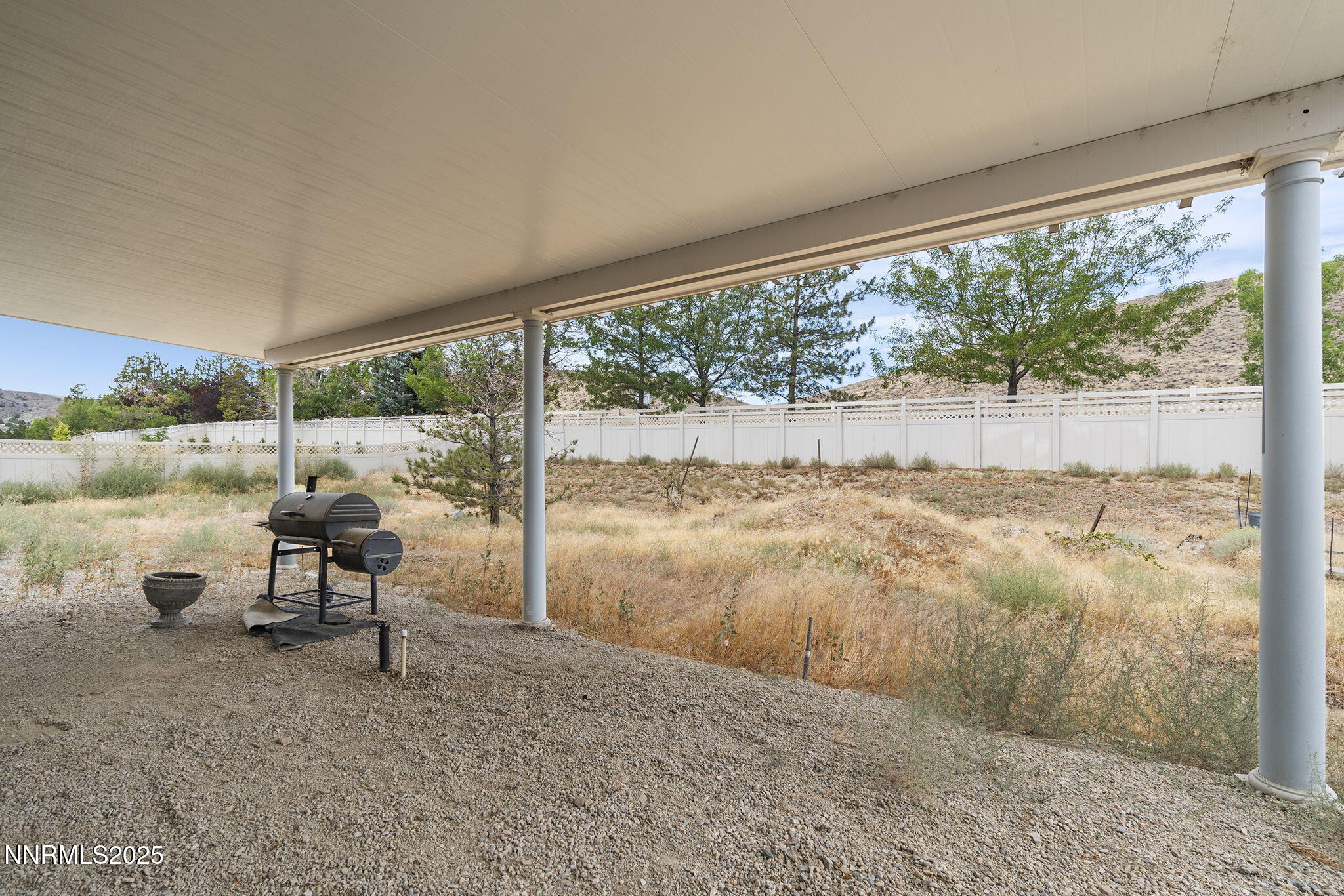 124 Denio Drive Dayton, NV 89403 - Photo 27 of 48 40-web-or-mls-_DSC4768