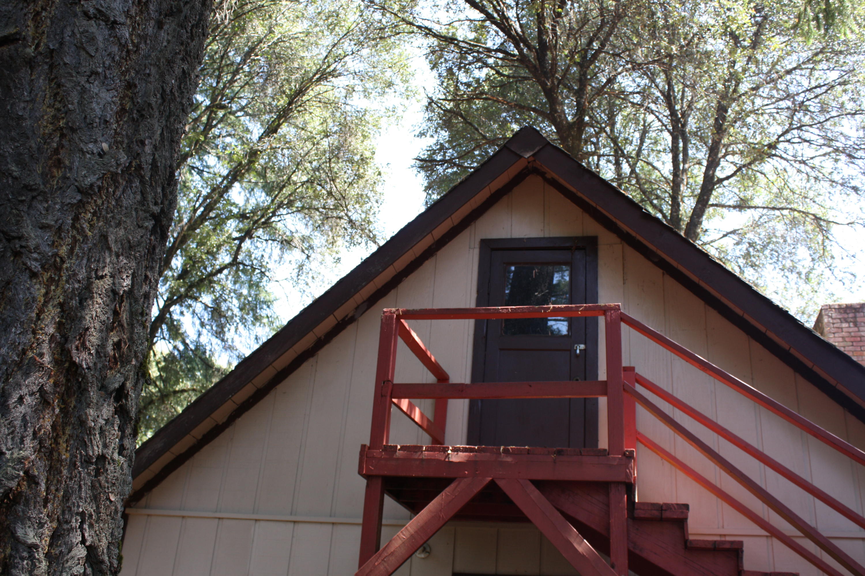 401 Hawkins Bar Road Burnt Ranch, CA 95527 - Photo 20 of 24